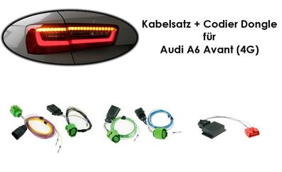 Kabelsatz + Codier Dongle LED Heckleuchten Audi A6 Avant (4G)
