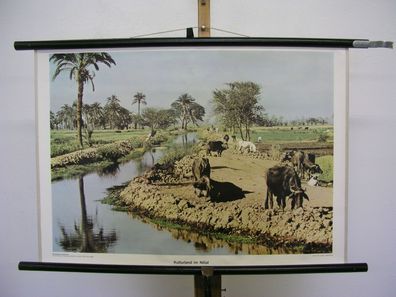 Schulwandbild schöne alte Wandkarte Kulturland im Nildelta 75x51cm vintage 1960