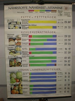 Wandbild Nährstoff Nährwert Vitamine Fette Eiweiß 83x116 1955 Küchendeko vintage