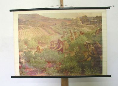 Wandbild Nils Aspund Tee Teepflückerin Teehaus wohl Indien 89x63cm vinatge 1952