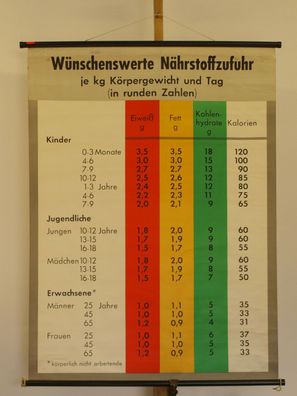 Wandbild wünschenswerte Nährstoffzufuhr pro Tag Eiweiß Fett 84x112 1960 vintage