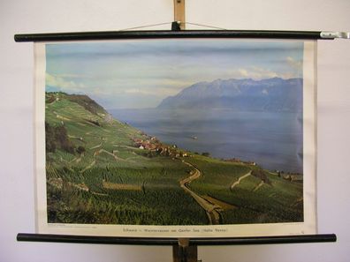 Schulwandbild Schweiz-Weinterrassen am Genfer See Verey 75x51 vintage wall chart
