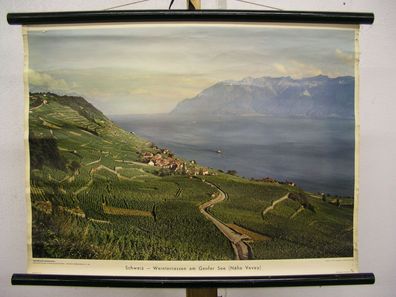 Schulwandbild Schweiz-Weinterrassen am Genfer See Verey 70x52 vintage wall chart