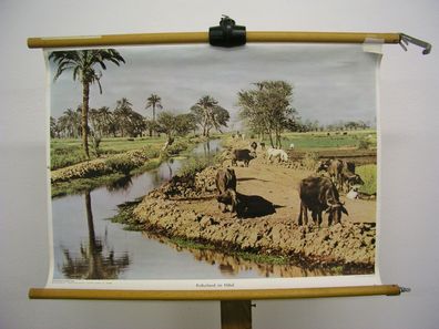 Schulwandbild schöne alte Wandkarte Kulturland im Nildelta 70x51cm vintage 1960