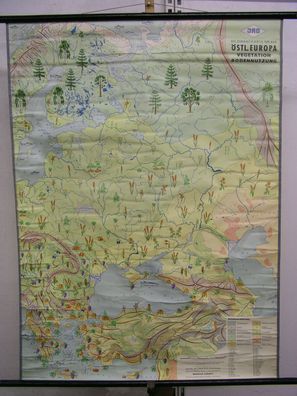 Schulwandkarte Wandkarte Osteuropa Russland Vegetation Bodennutzung 3,3Mi 87x117