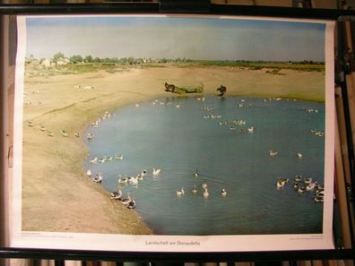 schönes altes Wandbild Landschaft am Donaudelta Wasservögel 72x52c vintage 1960