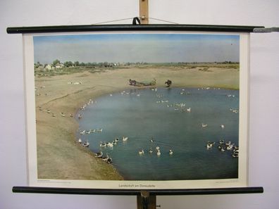 schönes Wandbild Donaudelta Wasservögel Enten Rumänien 75x51cm vintage map 1959
