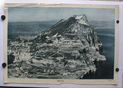 Wandbild Gibraltar Affenfelsen Berberaffen Algeciras 92x64 1954 vintage chart