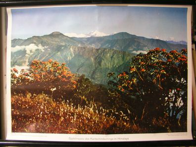 Schulwandbild Wandbild Gipfel Gipfelmassiv Kantschindschinja HimalayaAsien 71x51