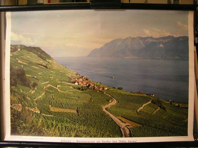 Schulwandbild Schweiz-Weinterrassen am Genfer See Verey 72x50 vintage wall chart
