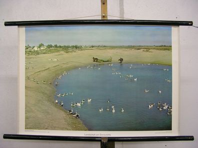 schönes Wandbild Donaudelta Wasservögel Enten Rumänien 75x51cm vintage map 1960