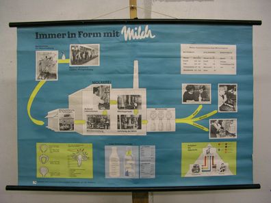 schöne alte Schulwandkarte Milch Molkerei Trinkmilch 98x66cm vintage map 1969
