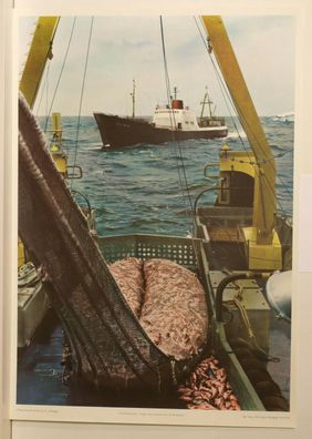 Wandbild Fischdampfer Hochseeflotte Fischzug Fischer 64x92cm vintage Poster 1963