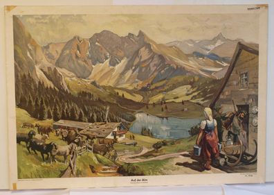 Wandbild Auf der Alm Berge Idylle Kühe Poster 92x64cm vintage chart 1949 1950