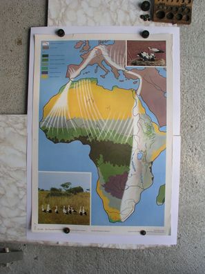 Der Zug des Weiß-Storch Europa Afrika Bosborus 1968 Schulwandbild Wandbild 92x64cm