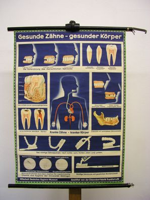 Gesunde Zähne Gesunder Körper Chlorodont 1965 Schulwandbild Wandbild 58x81cm