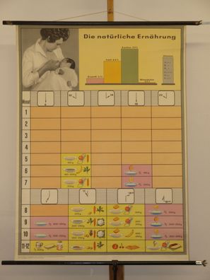 Natürliche Ernährung Baby Stillen 1962 Schulwandbild Wandbild 83x114cm