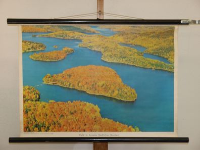 Wald in Kanada südliches Quebec Indian Summer 1960 Schulwandbild Wandbild 71x51cm