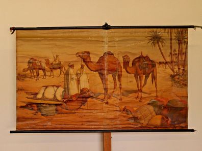 Heubach Wandbild Kamele Dromedare Karawane 160x95cm 1923 Caravan camelids chart