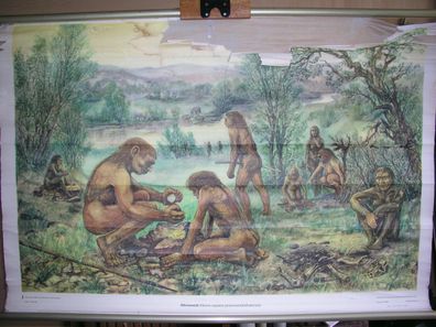 Schulwandbild Wandbild Altmensch Homo Sapiens prae neanderthalensis 116x78cm