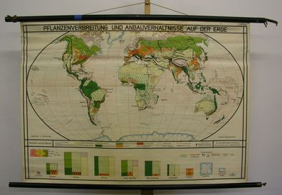 Schulwandkarte schöne alte Weltkarte PflanzenVerbreitung 125x89 vintage map 1940