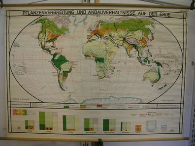 Schulwandkarte schöne alte Weltkarte PflanzenVerbreitung 124x90 vintage map 1940