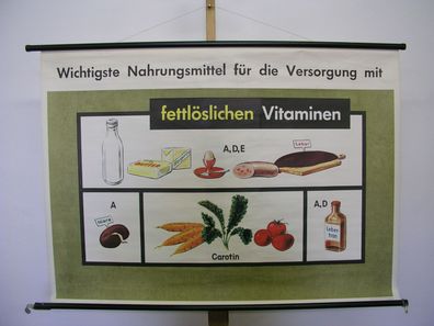 Schulwandkarte Nahrungsmittel Versorgung Vitamine 115x81 vintage school map 1965