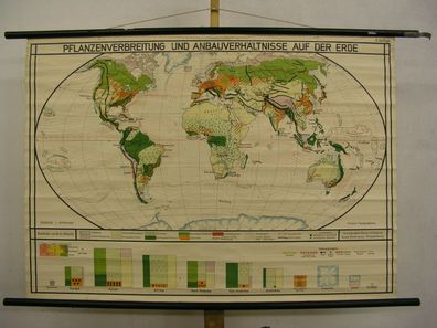 Schul-Wandkarte Pflanzen Anbau Völker Rohstoffe Holz Weltkarte 125x88cm 1940