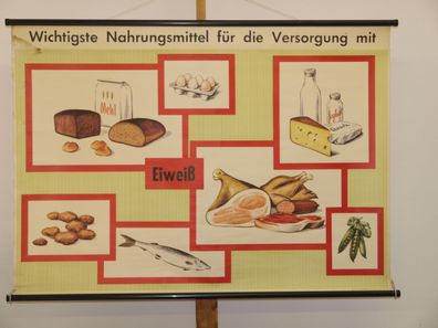 Wichtige Nahrungsmittel Versorgung mit Eiweiß 1960 Schulwandbild Wandbild 115x81cm