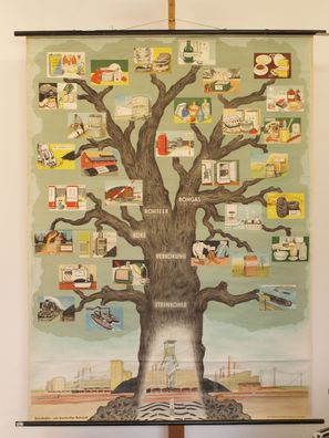 Steinkohle Rohstoff Reifen Pharmaka Baumschema 1970 Schulwandbild Wandbild 121x164cm