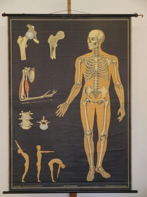 Knochengerüst Knochenmann Skelett Schädel Zähne Deko 1974 Wandbild 116x162cm