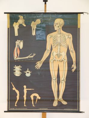 Knochengerüst Knochenmann Skelett Schädel Zähne Deko 1974 Wandbild 116x155cm