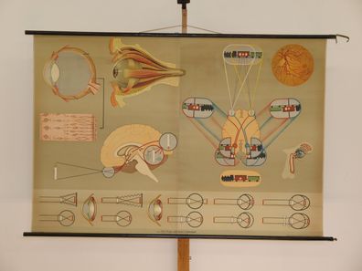 Auge Augenarzt Optiker Sehleistung Sehen Brille Blind 1965 Wandbild 167x116cm