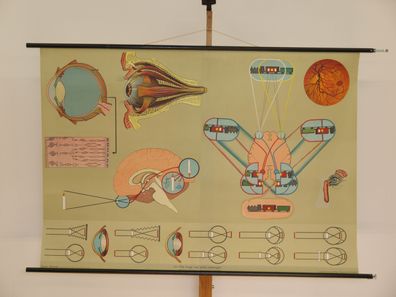 Auge Augenarzt Optiker Sehleistung Sehen Brille Blind 1965 Wandbild 167x117cm