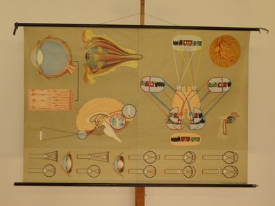 Auge Augenarzt Optiker Sehleistung Sehen Brille Blind 1965 Wandbild 168x116cm