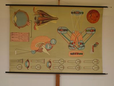 Auge Augenarzt Optiker Sehleistung Ausbildung Mediziner 1965 Wandbild 167x117cm