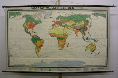 Schulwandkarte schöne alte Weltkarte Vegetationsgebiete 202x124 vintage map 1959