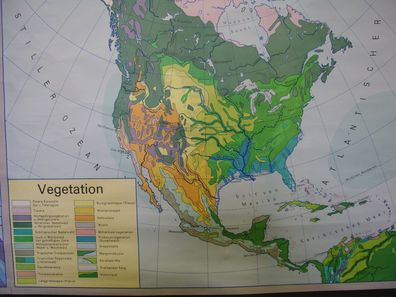 Schulwandkarte Nordamerika North America map Klima Vegetation 1981 210x169cm