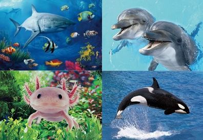3 D Ansichtskarte Delfine Schwertwal Fisch Postkarte Wackelkarte Hologrammkarte Tiere