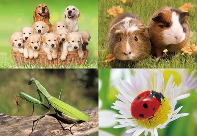 3 D Ansichtskarte Hunde Meerschwein Käfer Postkarte Wackelkarte Hologrammkarte Tier
