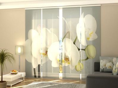 Foto-Schiebegardine weiße Orchidee, Flächenvorhang mit Motiv, Digitaldruck, auf Maß