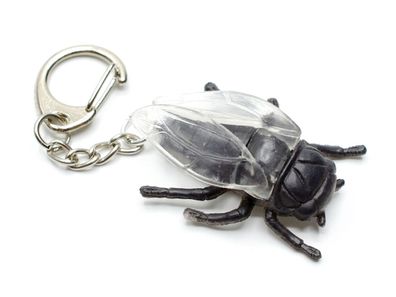 Käfer Grille Schlüsselanhänger Miniblings Halloween Insekt Fliege Flügel schwarz