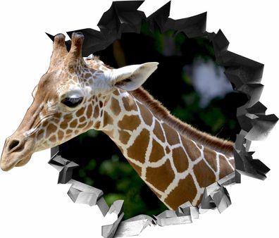 BLACK LABEL GRAFX Wandtattoo Aufkleber WallArtML 139 Mauerloch Giraffe 3D