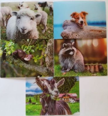 3 D Ansichtskarte Waldtiere Hund Postkarte Wackelkarte Hologrammkarte Tier