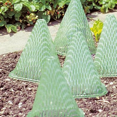10 Stück Pflanzenhut Pflanzenschutzhaube Schneckenschutz