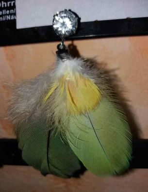 Ohrring Handarbeit aus Papageienfeder von Papagei / Amazone Geschenk