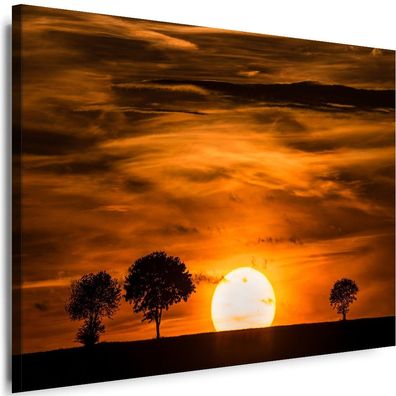 Bilder Leinwand Natur Landschaft XXL Sonnenuntergang Wandbilder
