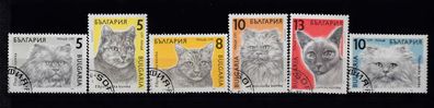 Bulgarien 1989 Katzen -gestempel