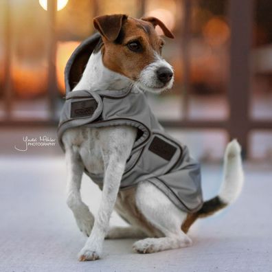 Kentucky Dogwear Hundedecke Dog Coat Reflection Water Repellent - silver