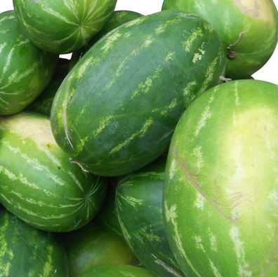 Riesen Wassermelone